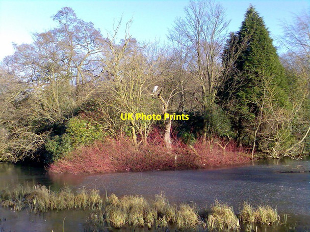 Photo 6"x4" Heron Kelvingrove Park Glasgow c2010