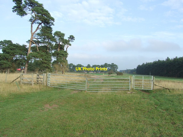 Photo 6"x4" Leaving Open Access Land Icklingham c2011