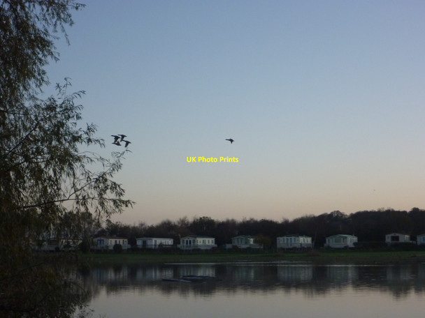 Photo 6"x4" Rural East Lothian : 4+1 At Seafield Pond, Belhaven Dunbar c2011
