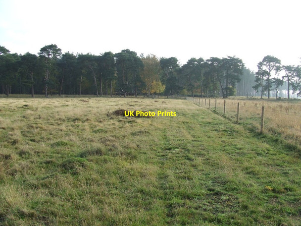 Photo 6"x4" The Southern Corner Icklingham c2011