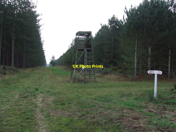 Photo 6"x4" Forest Tower Icklingham c2011