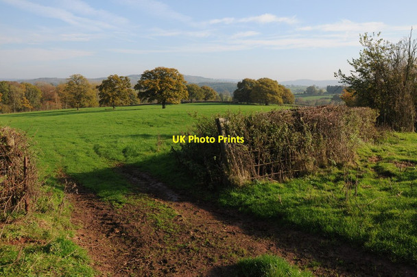 Photo 6"x4" Farmland near Dingestow Pen-yr-heol\/SO4311 c2011