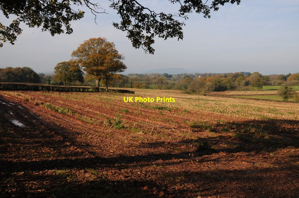 Photo 6"x4" Farmland near Pen-yr-Heol Tregare c2011