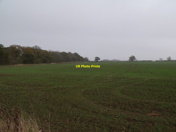Photo 6"x4" Crop field and Grange Plantation near Claythorpe Claythorpe c2011