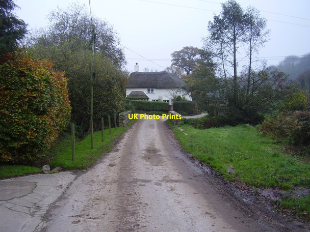Photo 6"x4" Post Box Cottage Harcombe\/SY1590 c2011