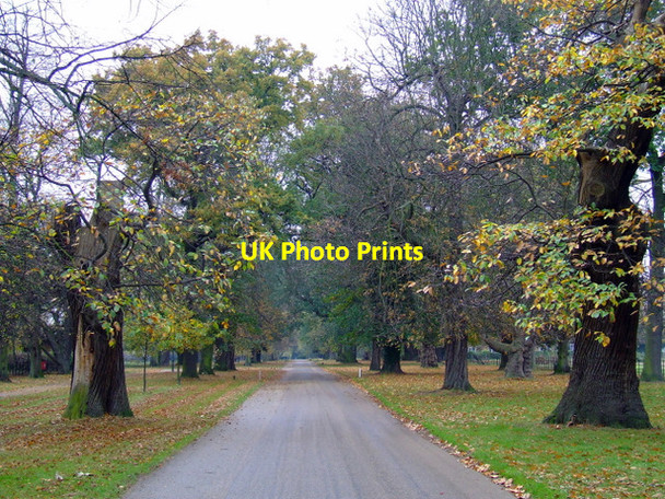 Photo 6"x4" Osterley Park Hounslow c2011