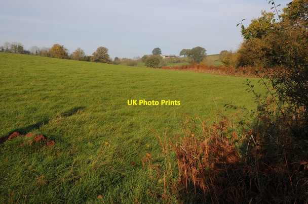 Photo 6"x4" Farmland near Little Wonastow Farm Worthybrook c2011