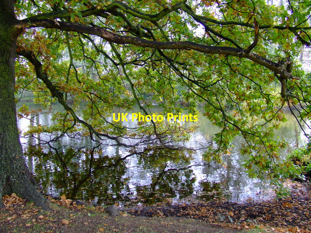 Photo 6"x4" Osterley Park Southall c2011