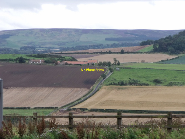 Photo 6"x4" Looking  towards Kippielaw near East Linton East Linton c2011