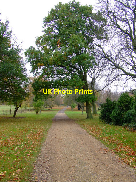 Photo 6"x4" Osterley Park Southall c2011
