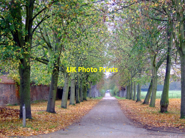Photo 6"x4" Osterley Park Southall c2011