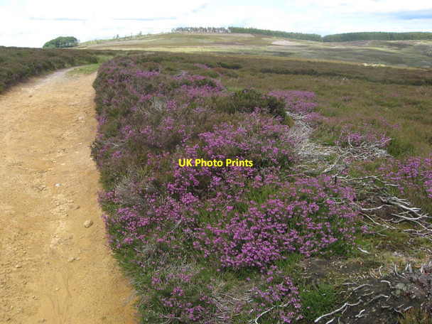 Photo 6"x4" Guisborough Moor Hutton Village c2011