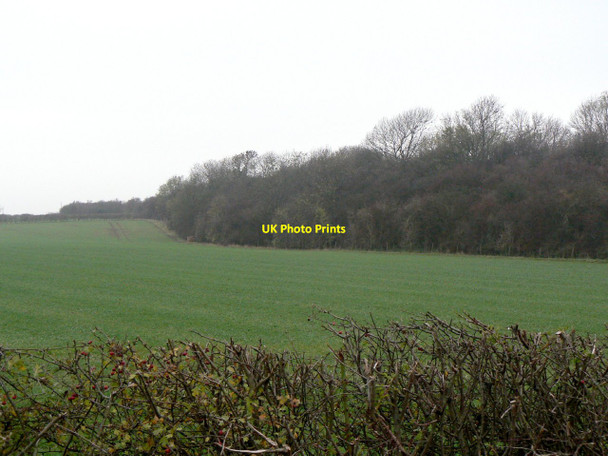Photo 6"x4" Railway embankment Plumtree c2011