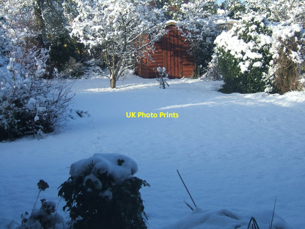 Photo 6"x4" A suburban garden in the snow Woodley\/SU7572 c2009