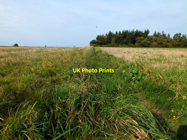 Photo 6"x4" Crossing the field Burcombe\/SU0730 c2011