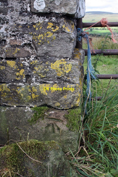 Photo 6"x4" Benchmark on gatepost above Greensley Bank Bainbridge c2011