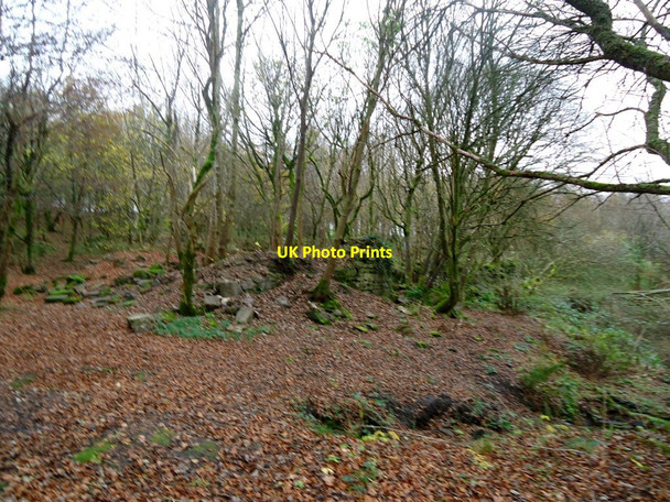 Photo 6"x4" Burnside Cottages, ruins Buchany c2011