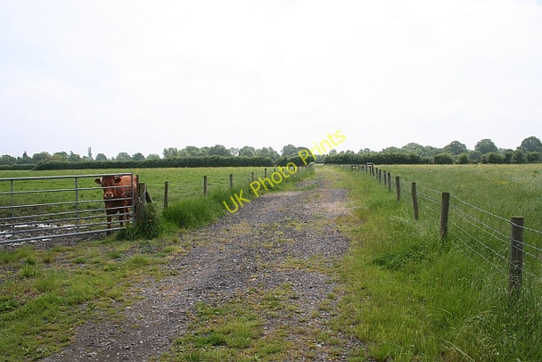 Photo 6"x4" Farm track near Kirby's farm Birts Street c2008