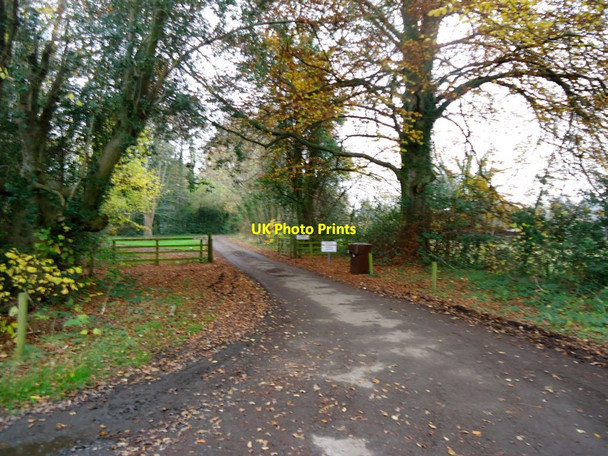 Photo 6"x4" Lime Avenue, Mill of Torr gate Blair Drummond c2011