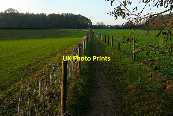Photo 6"x4" Footpath towards Littleworth Common Littleworth Common\/SU9386 c2011