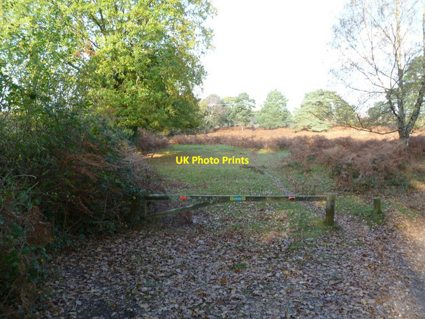 Photo 6"x4" Vales Moor, gate Foulford c2011