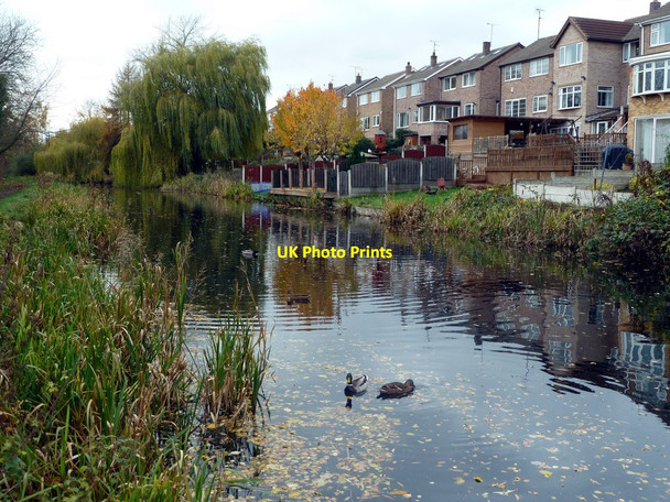 Photo 6"x4" The Brampton Canal Broomhill\/SE4102 c2011