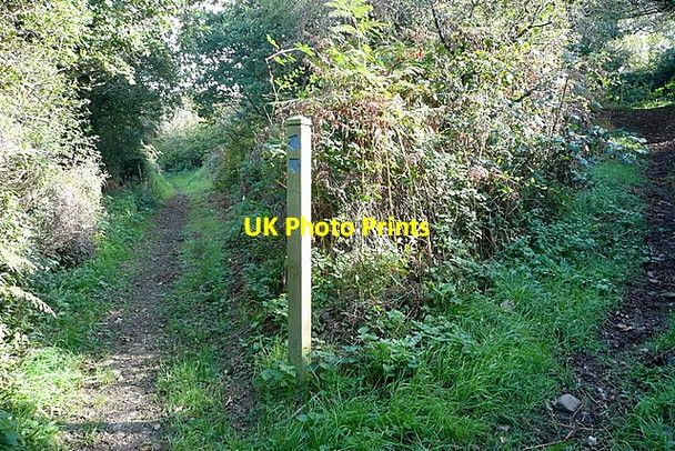 Photo 6"x4" Bridleways everywhere Camborne c2011