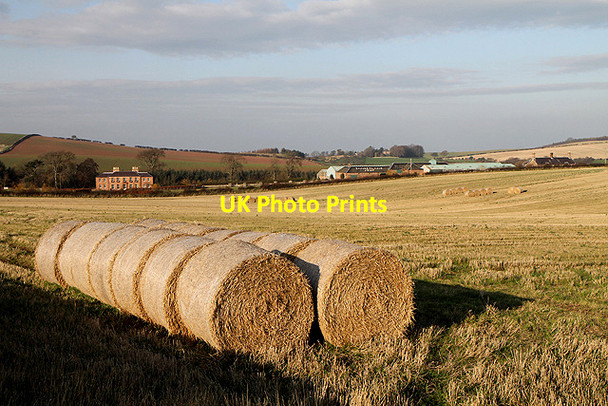 Photo 6"x4" Farmland at Law Knowes Garvald\/NT5870 c2011