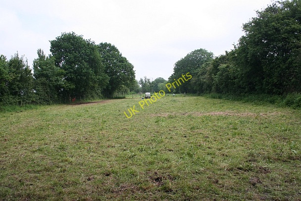 Photo 6"x4" Narrow horse pasture Rye Street c2008