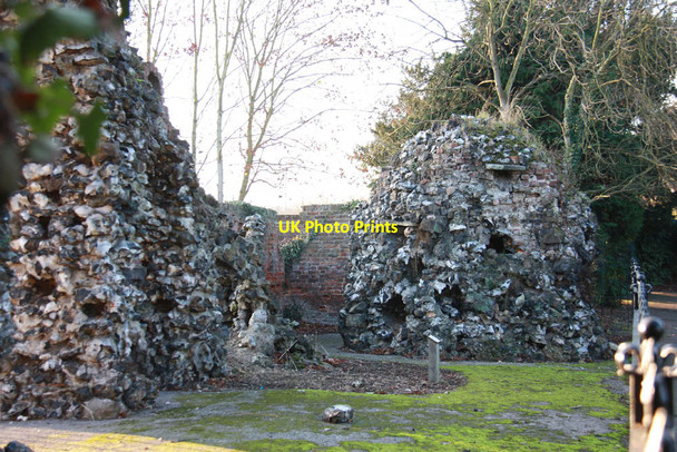 Photo 6"x4" Cedars Park, Waltham Cross - Ruins Cheshunt c2011 P2