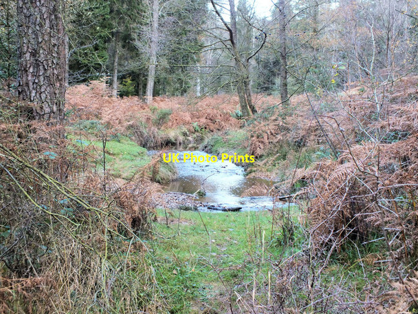 Photo 6"x4" Looking upstream North Oakley Inclosure c2011