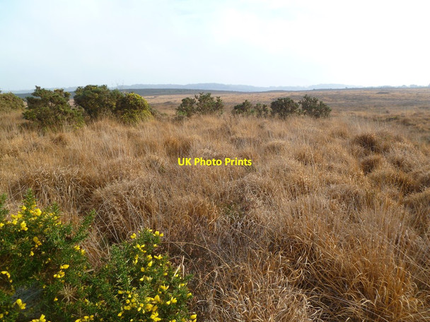 Photo 6"x4" Strodgemoor Bottom, heathland Crow c2011