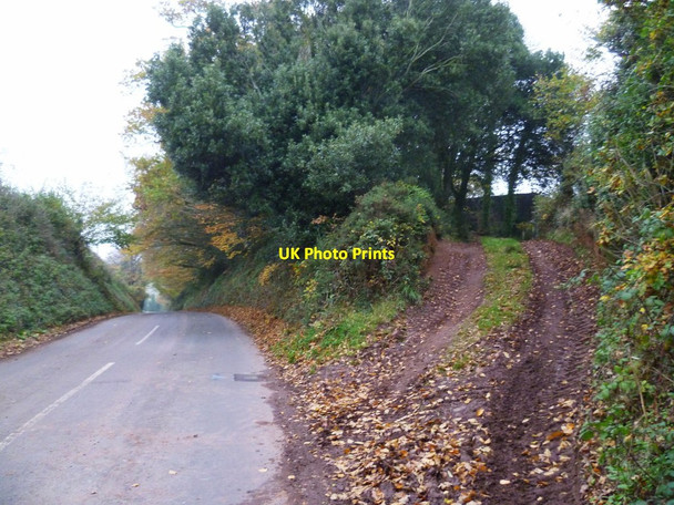 Photo 6"x4" Orange Way in Devon and Torbay (180) Clapham\/SX8987 c2011