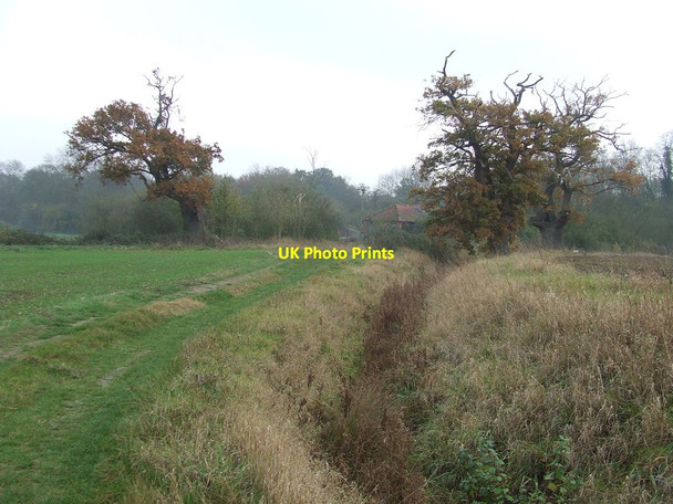 Photo 6"x4" To Kiln Farm Stanstead c2011