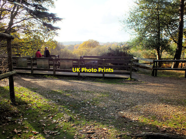 Photo 6"x4" Deer viewing platform Stoney Cross c2011