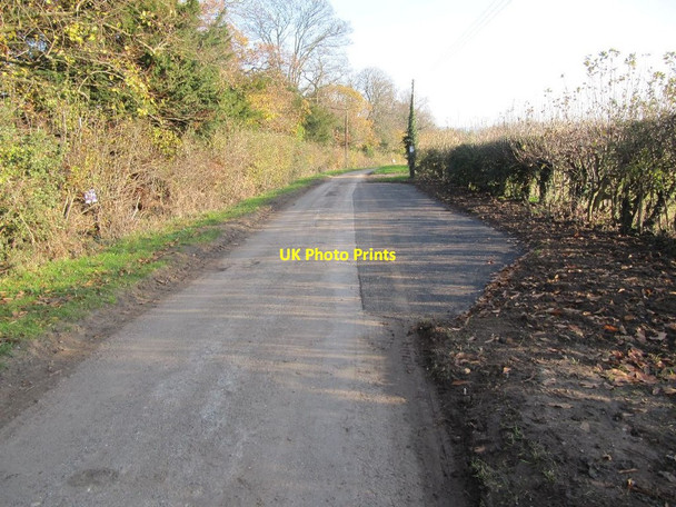 Photo 6"x4" Passing Place on Ferry Lane Cholsey c2011
