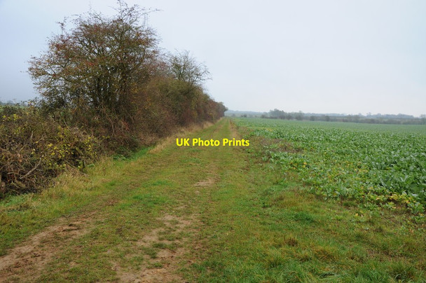 Photo 6"x4" Field beside the Welsh Way Sunhill\/SP1102 c2011