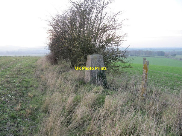 Photo 6"x4" White Hill Triangulation Pillar South Stoke\/SU5983 c2011