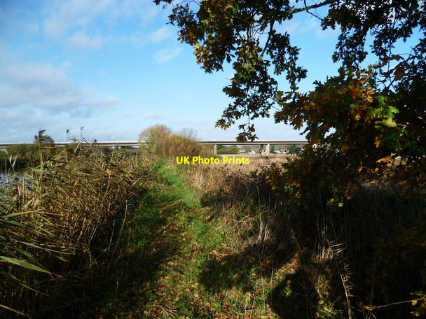Photo 6"x4" Orange Way in Devon and Torbay (211) Topsham c2011