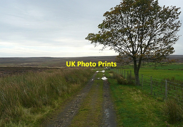 Photo 6"x4" Track to Clitherbeck Farm Ainthorpe c2011