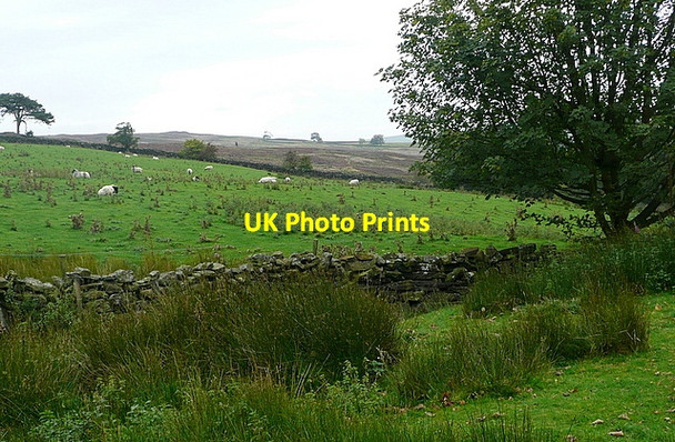 Photo 6"x4" Pasture at Clitherbeck Ainthorpe c2011