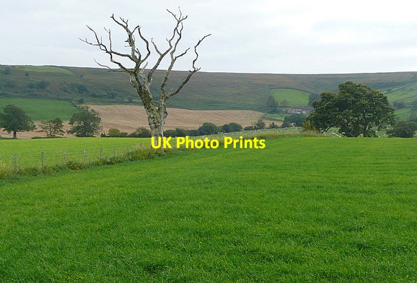 Photo 6"x4" Fields at Ainthorpe Ainthorpe c2011
