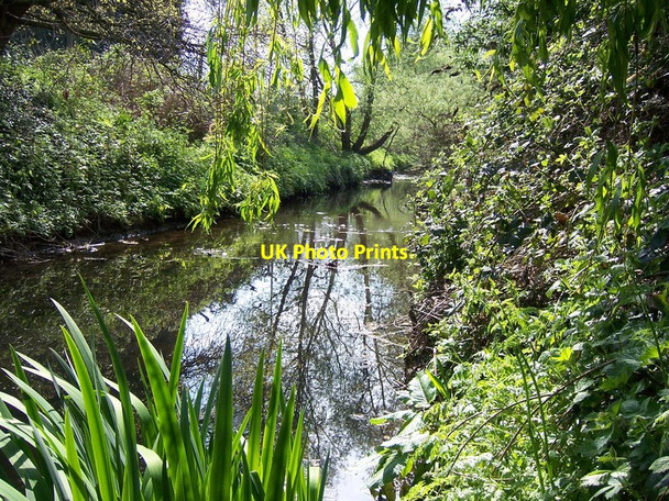 Photo 6"x4" Yeading Brook, Ruislip Gardens Ruislip c2011