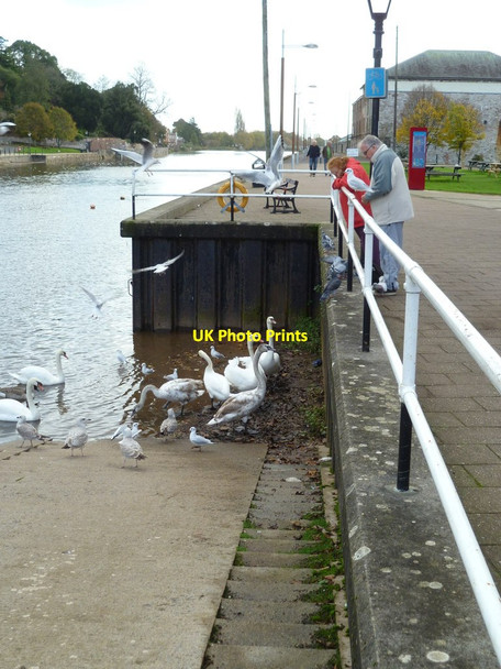 Photo 6"x4" Orange Way in Devon and Torbay (230) Exeter c2011