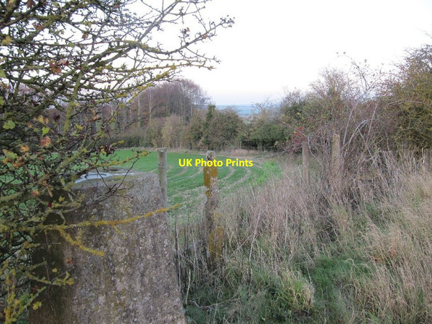Photo 6"x4" Another guess South Stoke\/SU5983 c2011