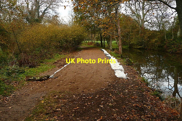 Photo 6"x4" Wey and Arun Canal Loxwood c2010 P1