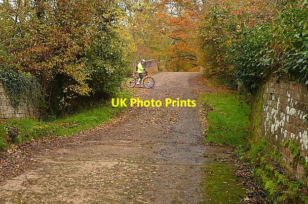 Photo 6"x4" Brewhurst Lane Loxwood c2010