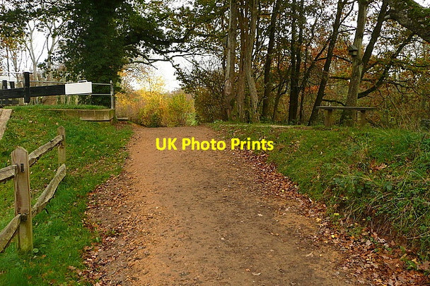 Photo 6"x4" Towpath by Brewhurst Lock Loxwood c2010