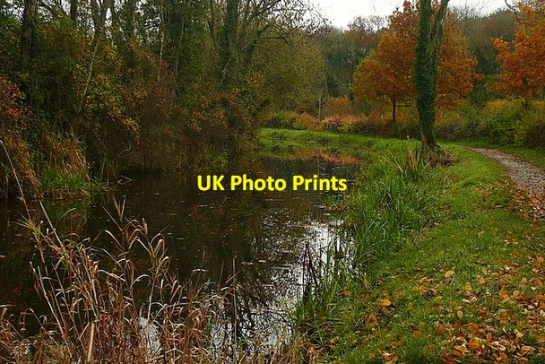 Photo 6"x4" Wey and Arun Canal Loxwood c2010