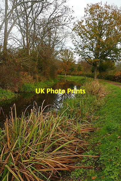 Photo 6"x4" Wey and Arun Canal Roundstreet Common c2010
